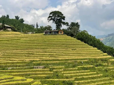 Best View Homestay – Fotos 4